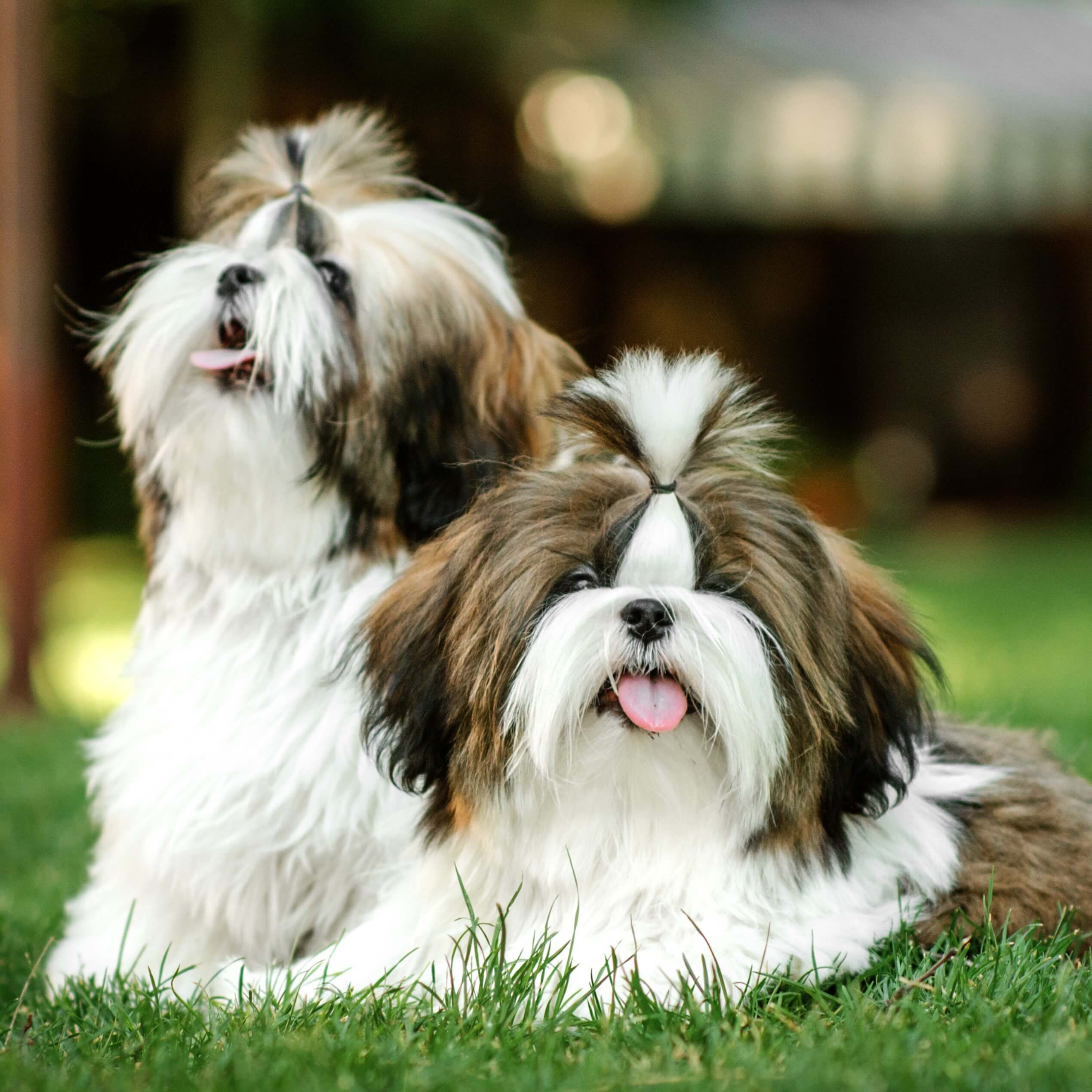 AdobeStock_284109135