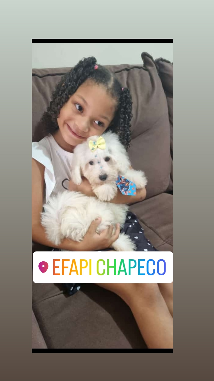 Família recebendo filhote do Canil Casa dos Cães