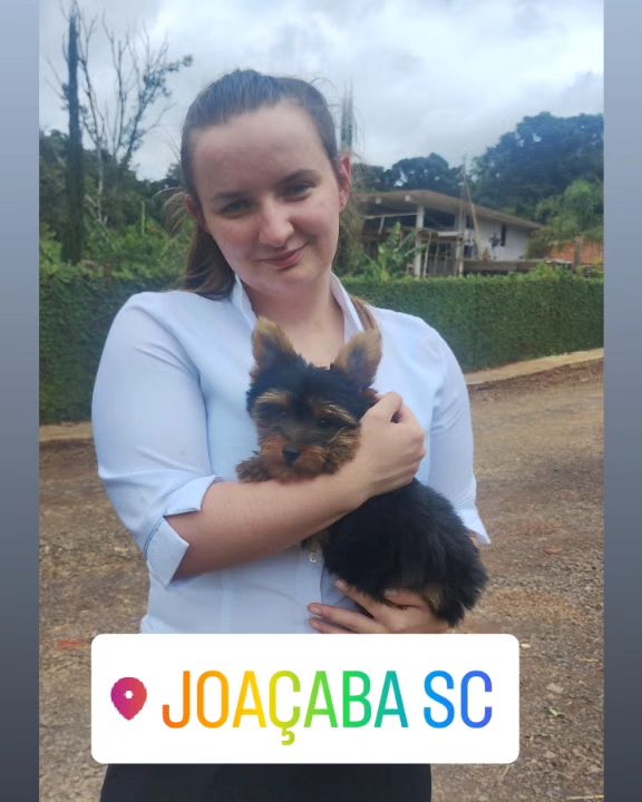 Família recebendo filhote do Canil Casa dos Cães