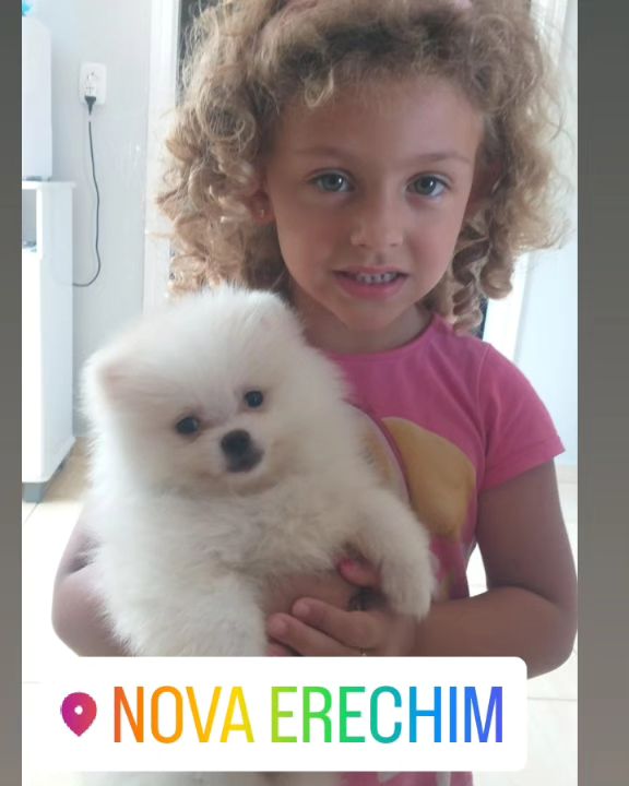 Família recebendo filhote do Canil Casa dos Cães